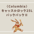 Columbiaの「キャッスルロック25LバックパックII」を写真付きでレビューします！