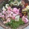 庭の花や果実で日々を楽しく