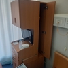 検査がはじまる！のであります！