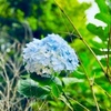 ６月２７日