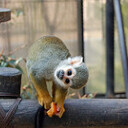 僕と新たな人生と過去の痛み