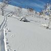 2024滑走30日目(3月5日)吹雪後のルスツでパウダースノー満喫！欧米人ファットスキーヤー激減で独占！