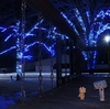 更別村　更別農村公園のイルミネーション（2022）