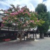 【京都】『仏光寺（佛光寺）』に行ってきました。 京都旅行 女子旅