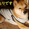 Mちゃん、ありがとう、だよ