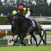 競馬初心者必見☆馬券予想🔥〜菊花賞〜3冠達成に期待しつつ穴目はディープ産駒のあの馬"達"！？