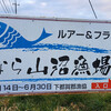 N本メンバーの初なら山プラをアテンド