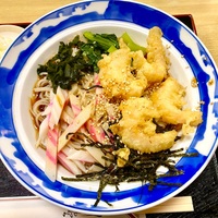 美加志屋（南千住）冷し小海老天ぷらそば