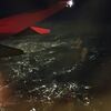 飛行機からの夜景