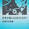 佐藤弓生『世界が海におおわれるまで』