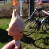 加藤牧場のジェラートサイクリング
