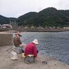 樺島で堤防釣り