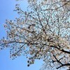 『そして4月に入って』