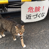 なかちゃんの思い出その30