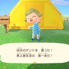 半移住することに決めたんだ、初夏の日