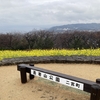 吾妻山から吾妻山へ　【菜の花の吾妻山公園】