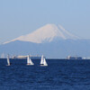 東京湾から望む富士山