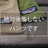 patagoniaのバギーズ買う前に読んで欲しい。生地にうるさい男が失敗しない選び方を教えますので。