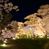 22年4月の植物園のお話。