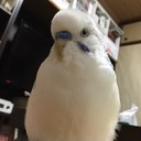 ヘアセラピストの楽しい一日