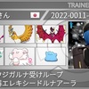 【ポケモン剣盾シングルS35 最終236位】ホウオウジガルナ受けループ