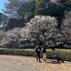 2月14日　一日1万歩のための業務スーパー。SNS疲れ、デジタルデトックスと知的好奇心の関係性。健康、金、孤独対応。話が合うとは。