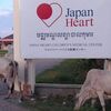 【Medical】JapanＨeart cambodia short term volunteer day4