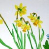 ここまで順調に