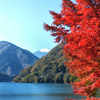 湖に映える紅葉……そして富士山