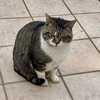 熱が出ました・・