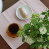 5月ワークショップのご案内。