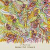 Of Montreal『Paralytic Stalks』　6.8