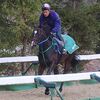 １７日に美浦・古賀慎厩舎へ帰厩しています。☆カシオン