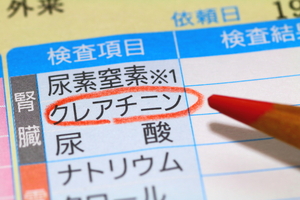 腎臓病の血液検査でクレアチニンが高いとどうなる？ 疾患と原因・対処法を解説