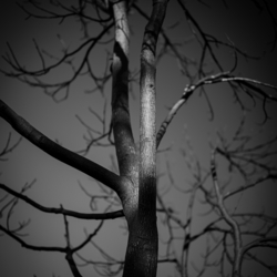 晩秋の公園にて