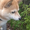 かっちょえ～後姿、だよ