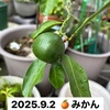 ルーモス　元気だよ♪