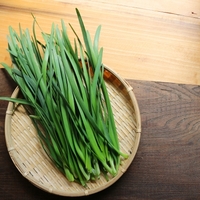 【相葉マナブ】ニラの肉野菜炒めのレシピ【7月20日】