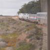 【搭乗記？】Amtrak Coast Starlight LAX→PDX搭乗記（2）お待ちかねランチタイムからの海岸線ぼーっと編