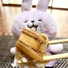 日本に戻ったら食べたいもので唯一食べられていないもの・・・ひとまずコレで代理満足！