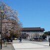 「上野恩賜公園」で美しい桜見物！！（１）