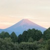 今朝の景色