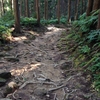 野営地を住処とするような男子の結束