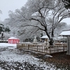 信濃便り・雪景色篇