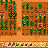 Stardew Valleyゲームプレイ日記「またわれ牧場」その10