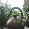 一年の形