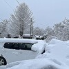 4日夜半からの雪