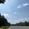 京都御苑の桜　春本番 2024