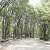 実走！名古屋RUNコース 1「名城公園」。