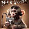 SONYウォークマンの中古を購入